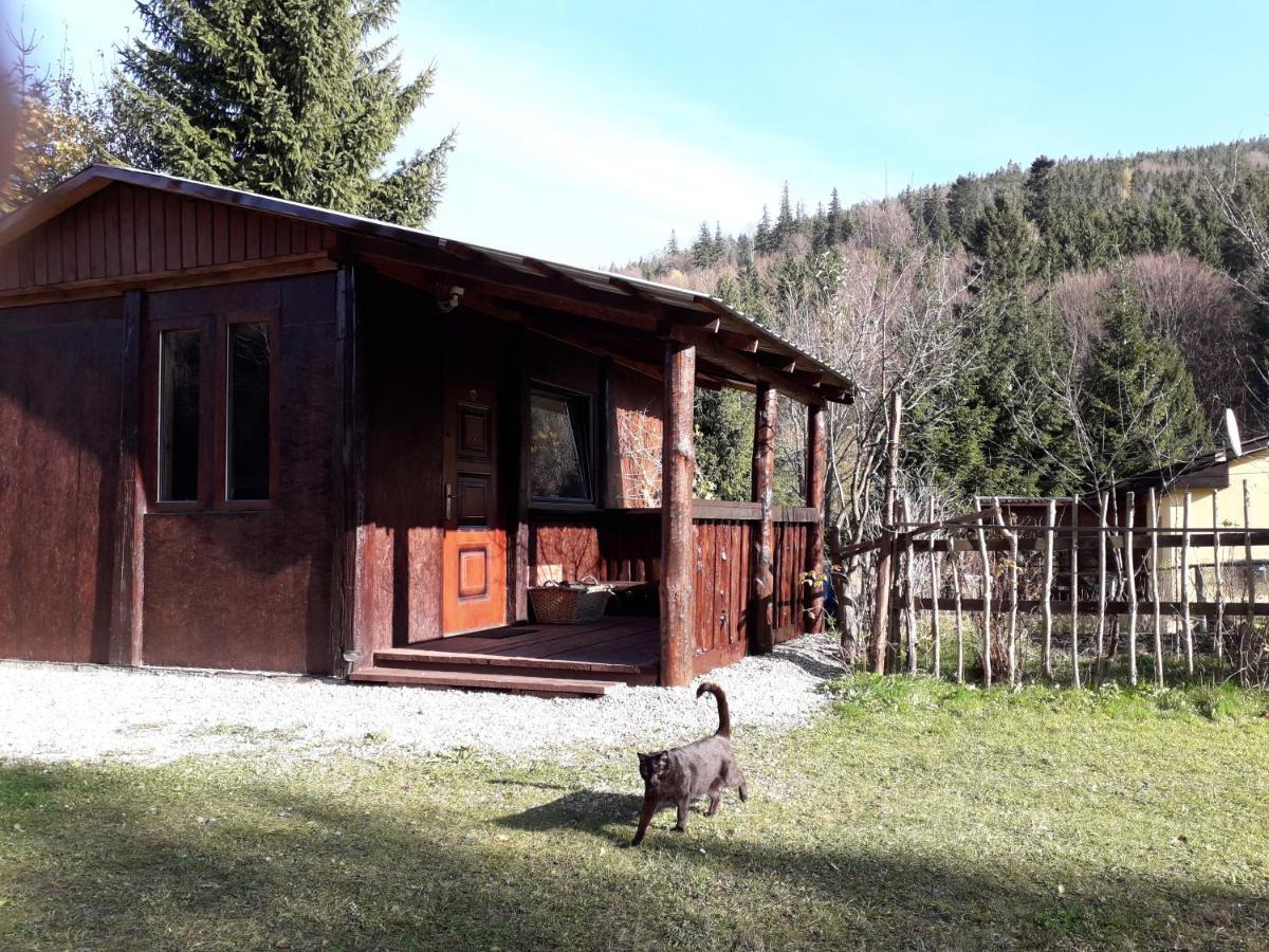 Lodge Zbojnicki Ostep-nocleg Trapera Kletno