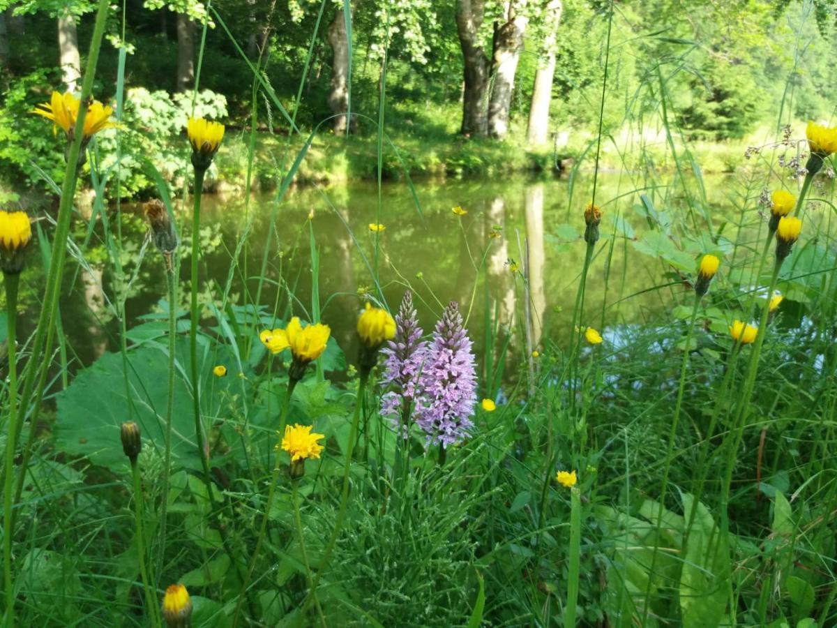 Lodge Zbojnicki Ostep-nocleg Trapera Kletno
